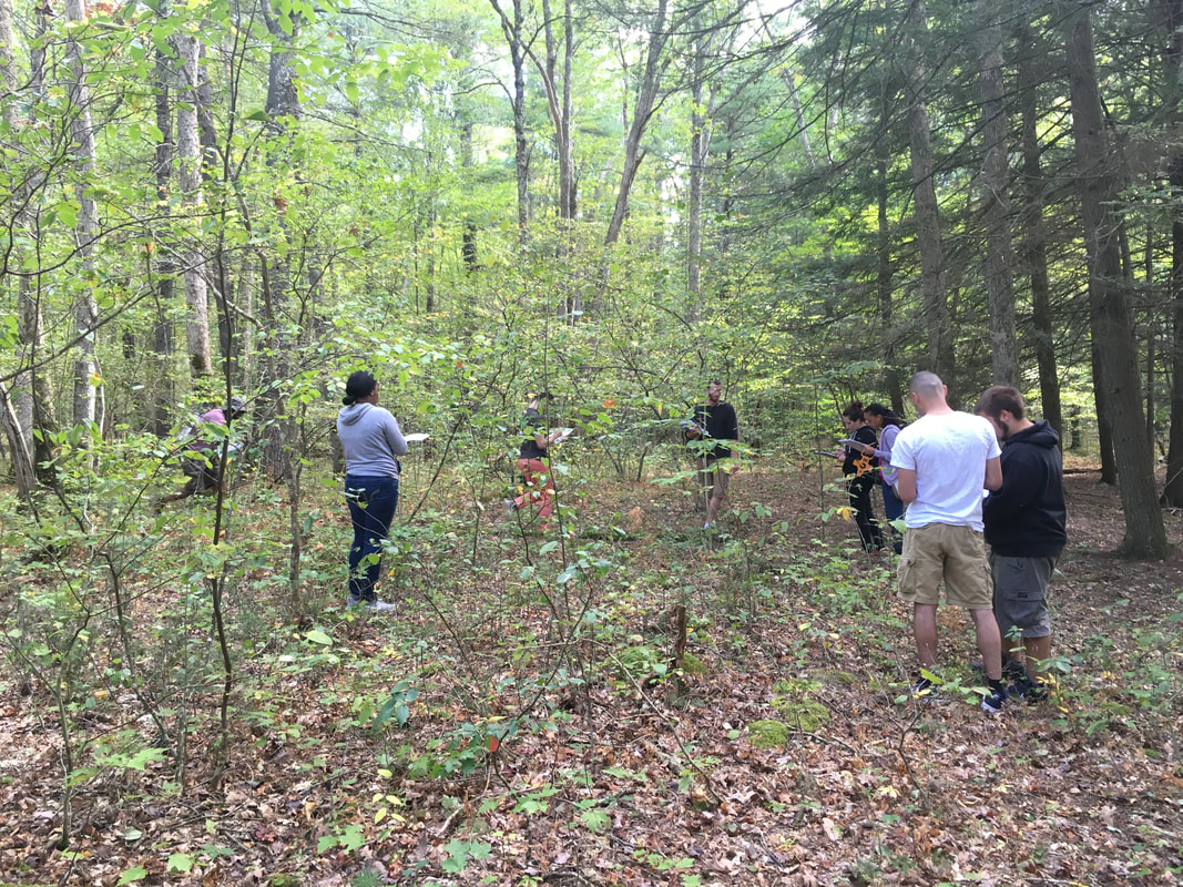 Students standing in the woods 