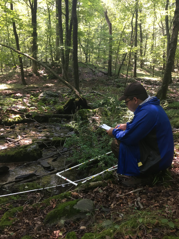 student in the woods examining plants in a quadrat frame